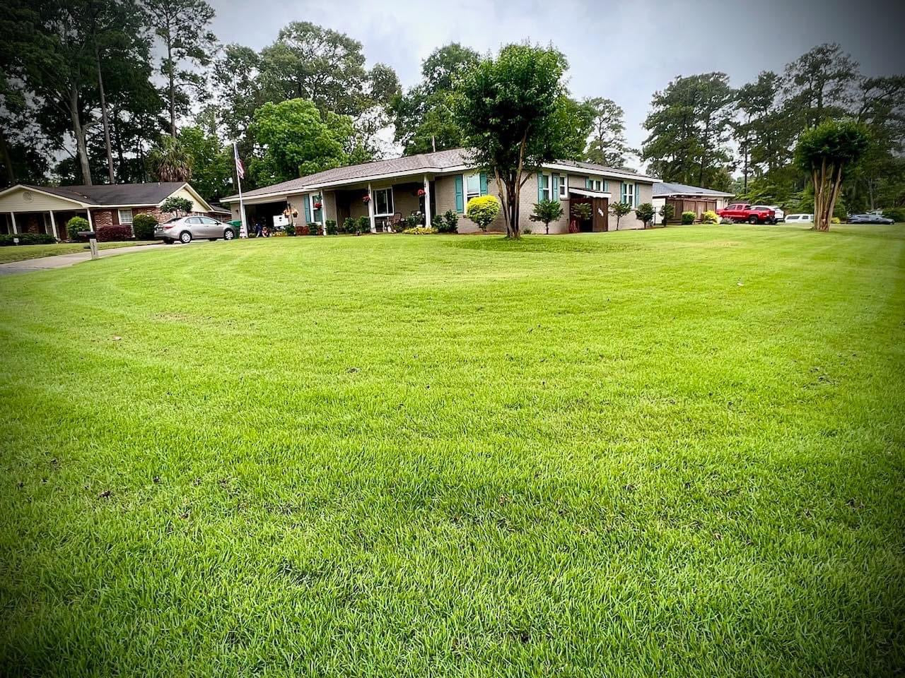 Empire Zoysia Sod