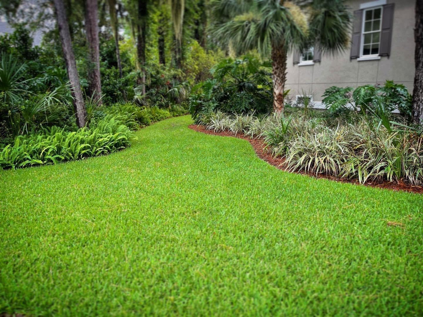 Saint Augustine Sod (palmetto variety)