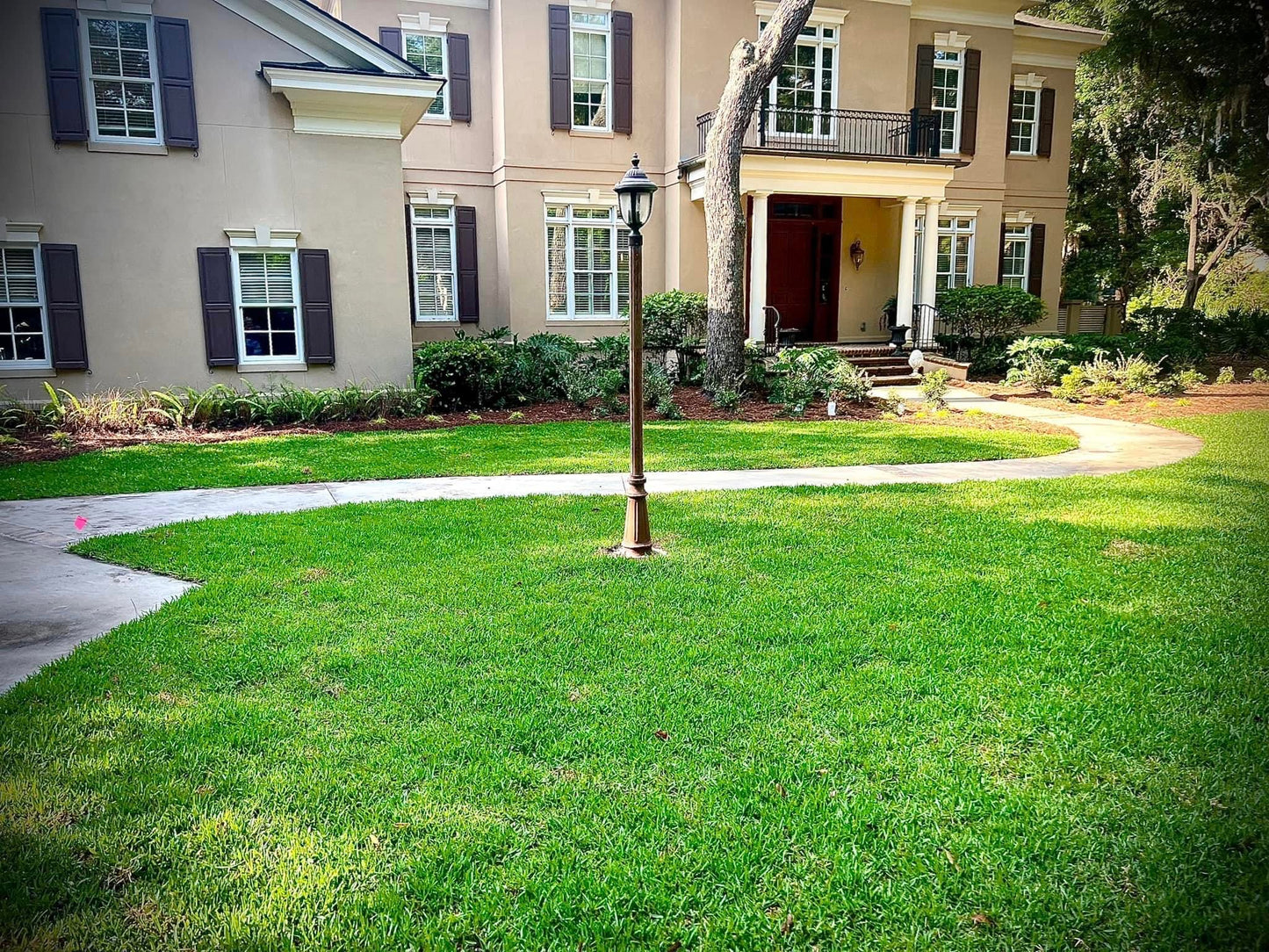 Saint Augustine Sod (palmetto variety)