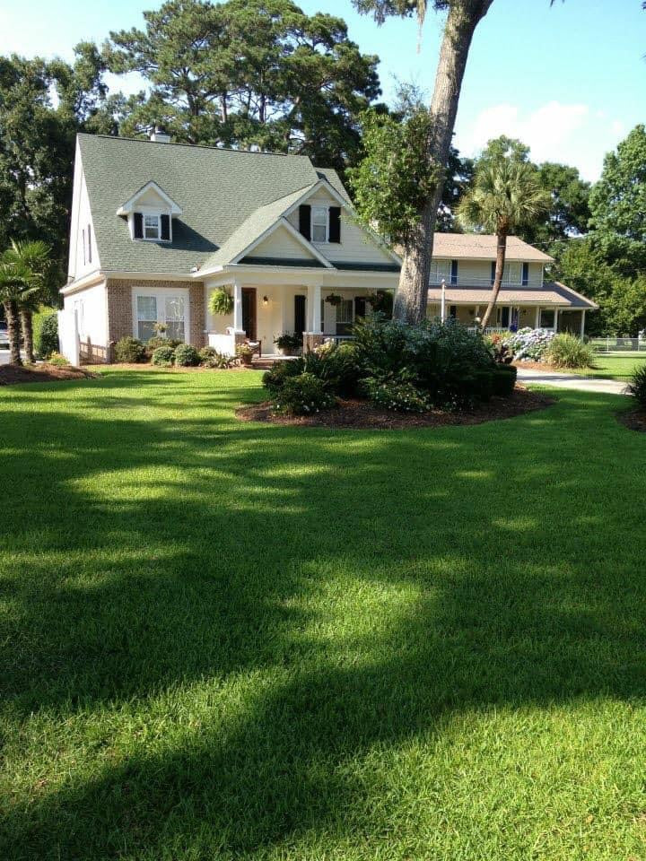 Saint Augustine Sod (palmetto variety)