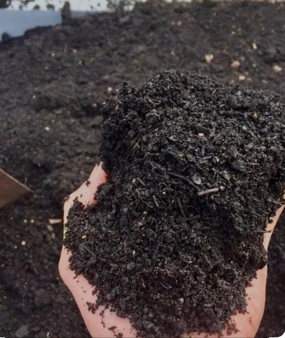 Organic Compost