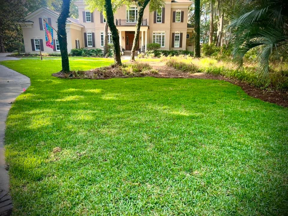 Saint Augustine Sod (palmetto variety)