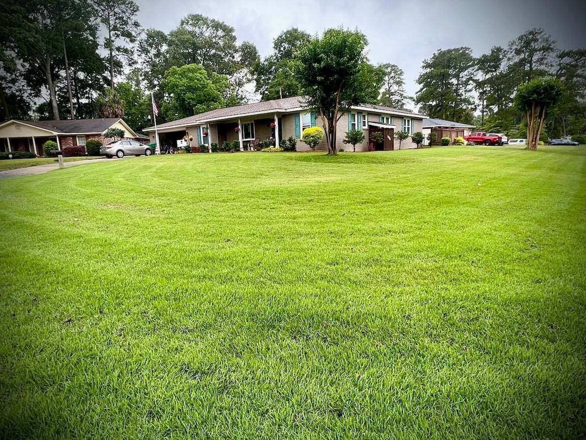 Collections – Pooler Plant Pick-Up Station